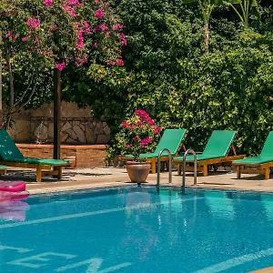 book here